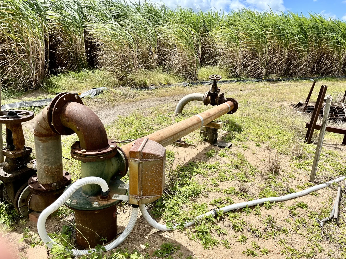 Additional image 26 of 174 Fiveways Road, Brandon QLD 4808