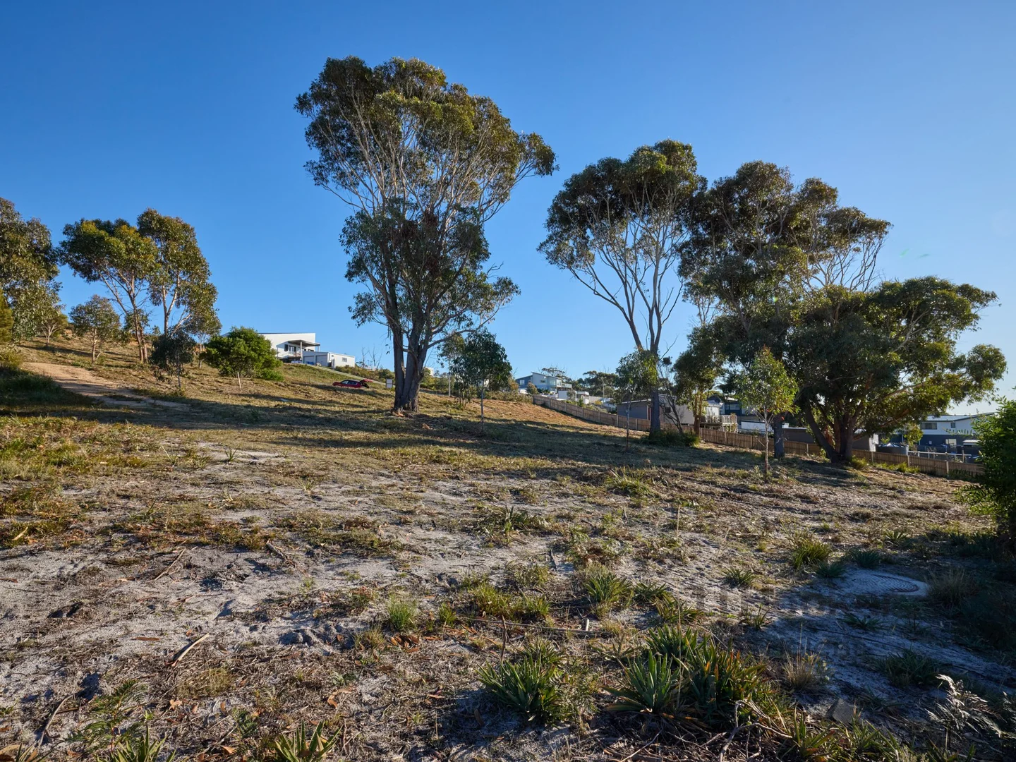 Image 13