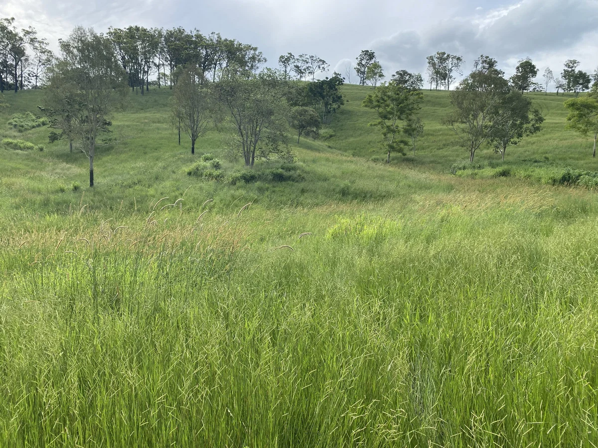 Image 17