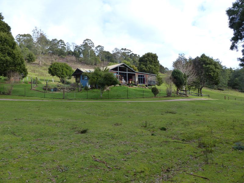 * Banks Road, DERBY TAS 7264, Image 0