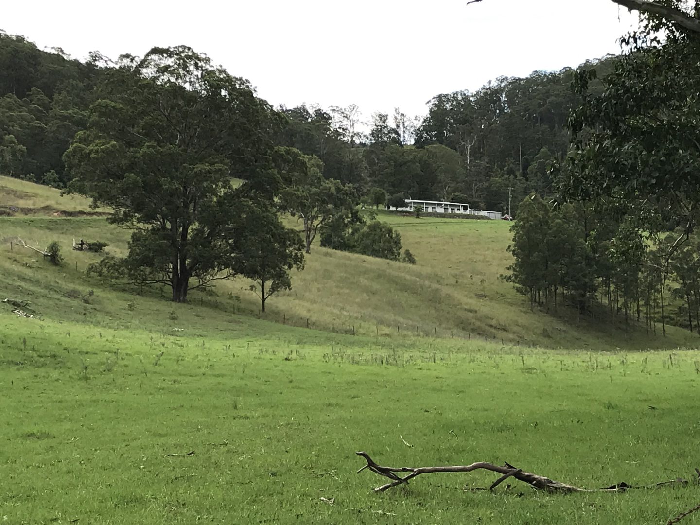 1092 Bowman River Rd, Bowman NSW 2422, Image 1