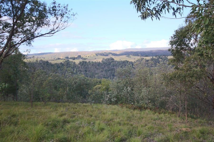 992 Timbarra Road, Tenterfield NSW 2372, Image 1