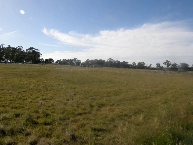 Lot 25 King Drive, Lancefield VIC 3435, Image 1