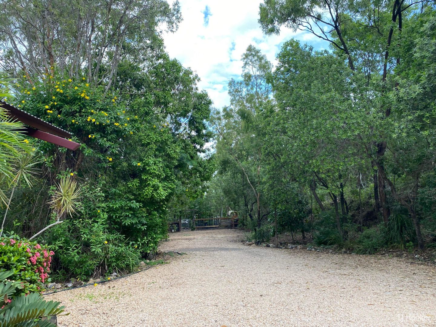 204 Mount Low Parkway, Bushland Beach QLD 4818, Image 2