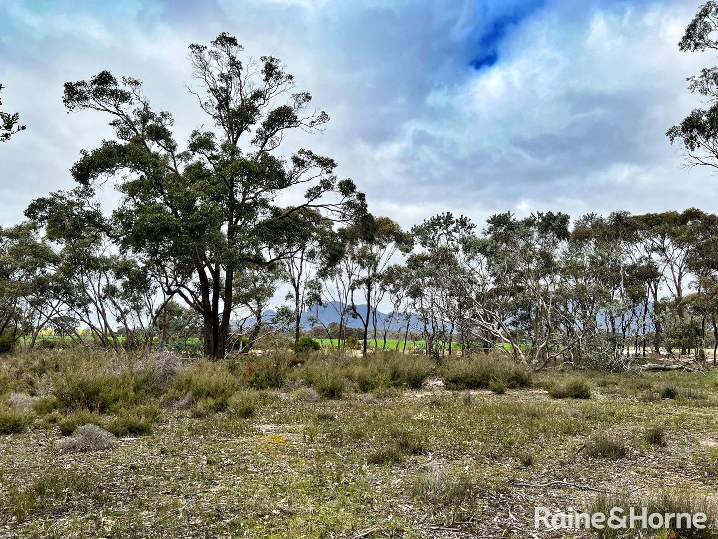 Lot 6 Chester Pass Road, Amelup WA 6338, Image 0