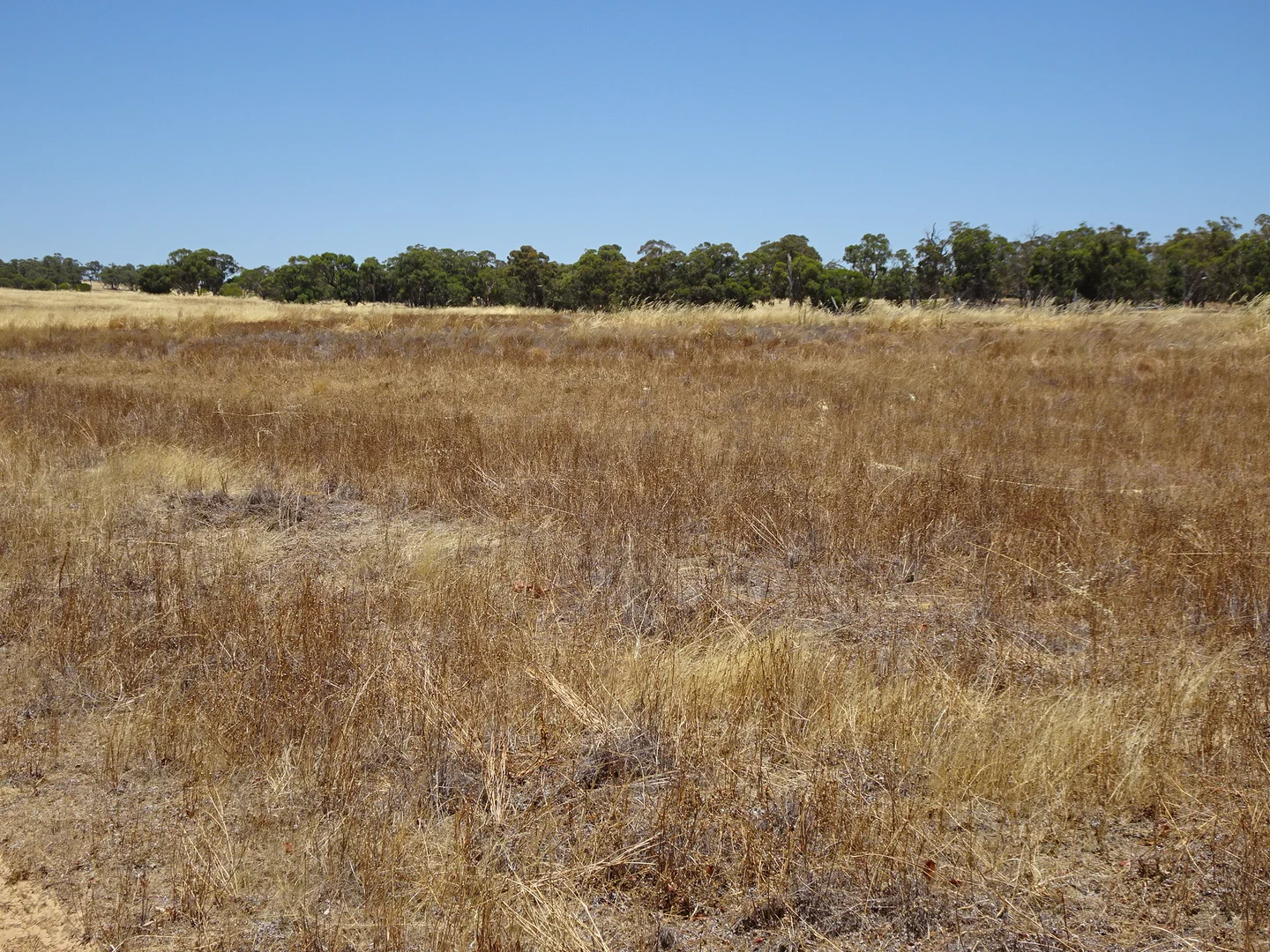 Image 14