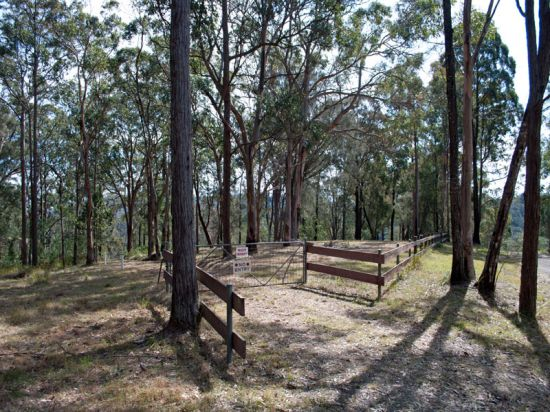 109 Giribil Track, Bucketty NSW 2250