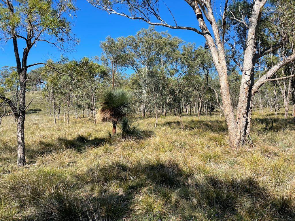 LOT 1 Stanthorpe - Inglewood Rd, Pikedale QLD 4380, Image 2