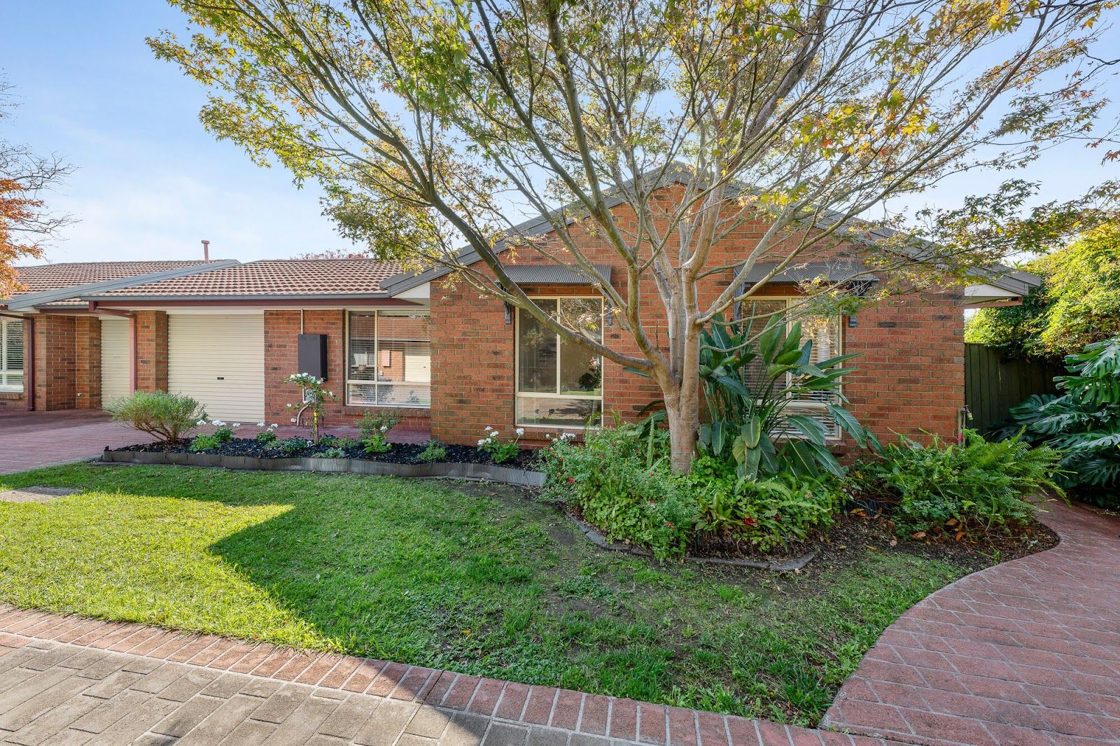 19 Heathcote Drive, Forest Hill VIC 3131, Image 2