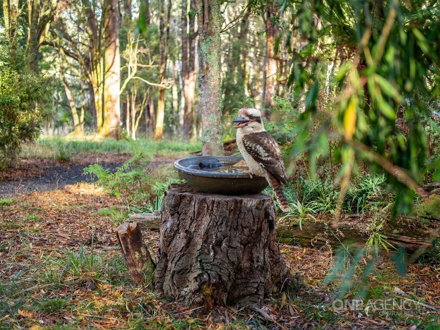 Additional image 33 of 22 Tierneys Road, Mengha TAS 7330