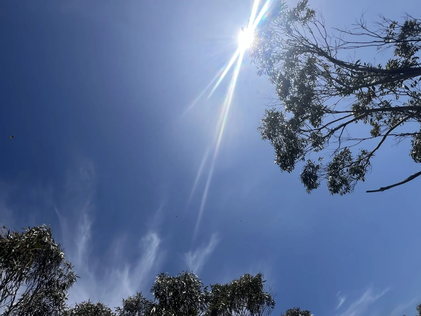 Image 14