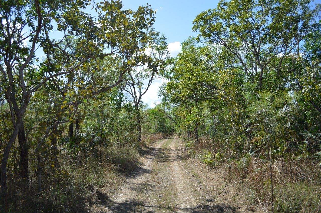 685 Spencer Road, Darwin River NT 0841, Image 2