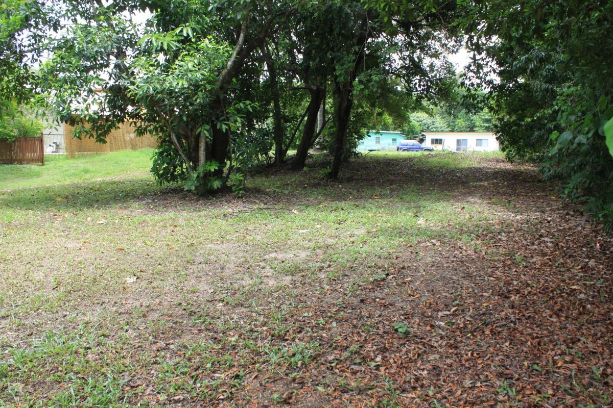 4 Esplanade, Wonga Beach QLD 4873, Image 2