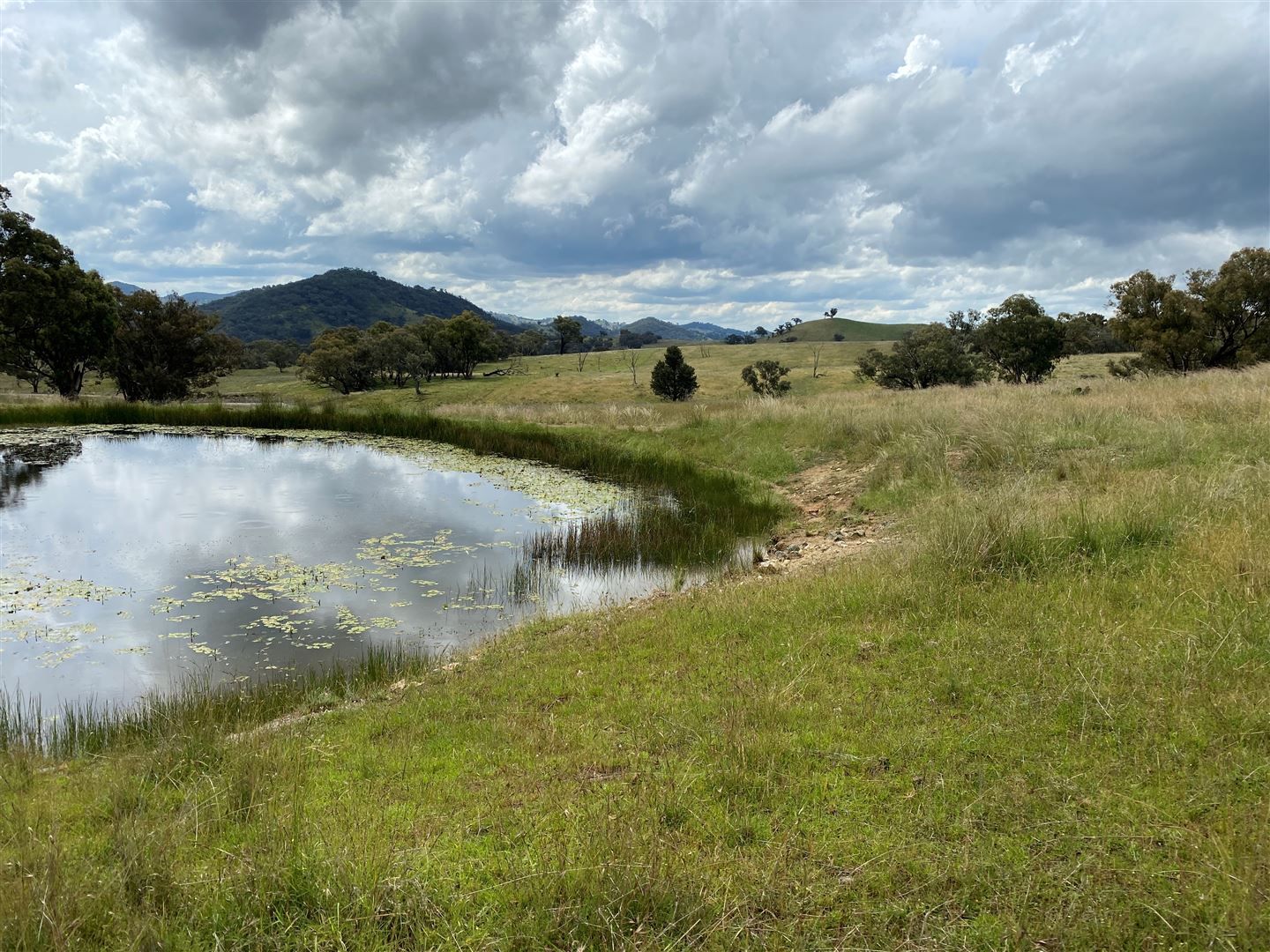 Lot 65 379 Windeyer Rd, Grattai, Mudgee NSW 2850, Image 2