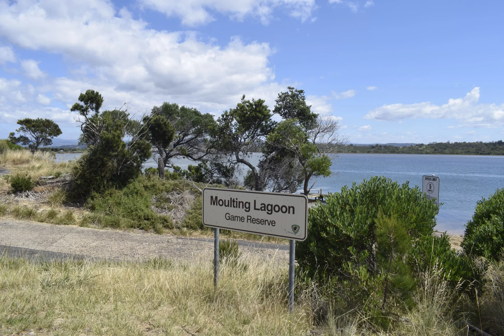 Image 15