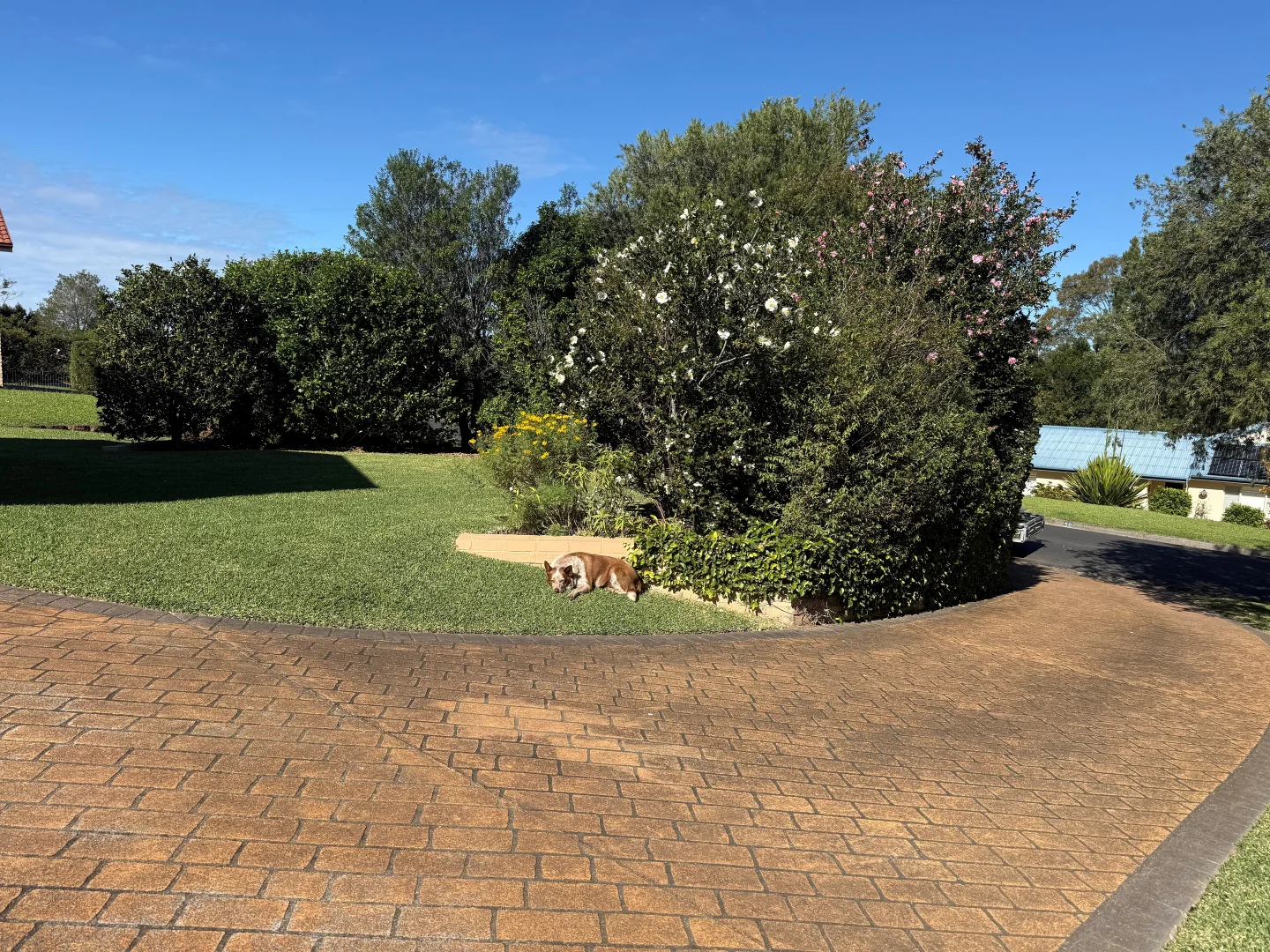 Image 15