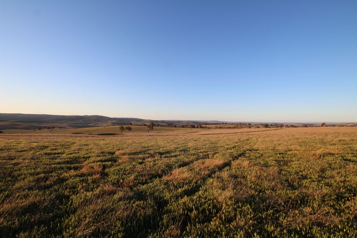 374 Wimbledon Road, Wimbledon Property History & Address Research
