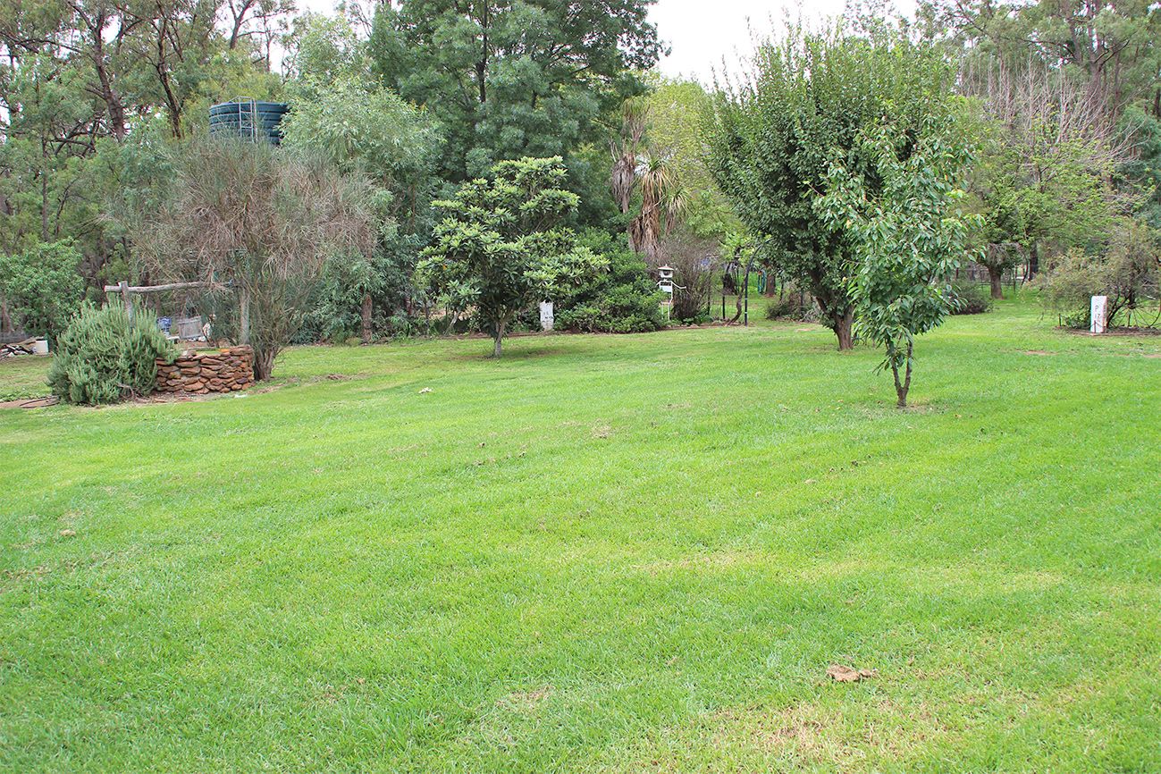 492 TIMOR ROAD, Coonabarabran NSW 2357, Image 0