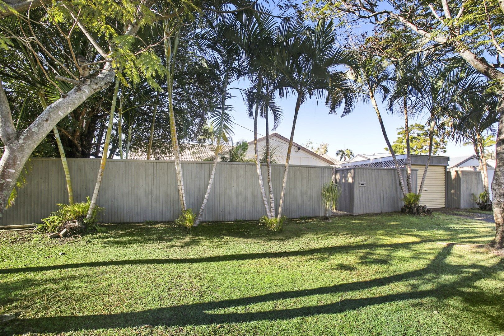 10 David Street, Pacific Paradise QLD 4564, Image 0