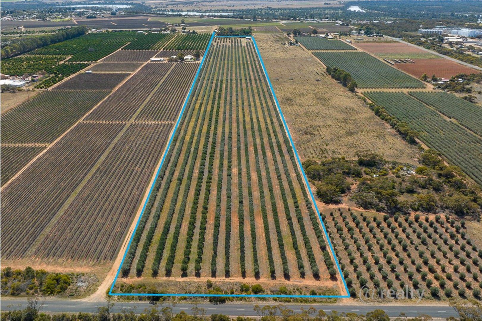 58 Benlow Road, Waikerie SA 5330 House for Sale Domain