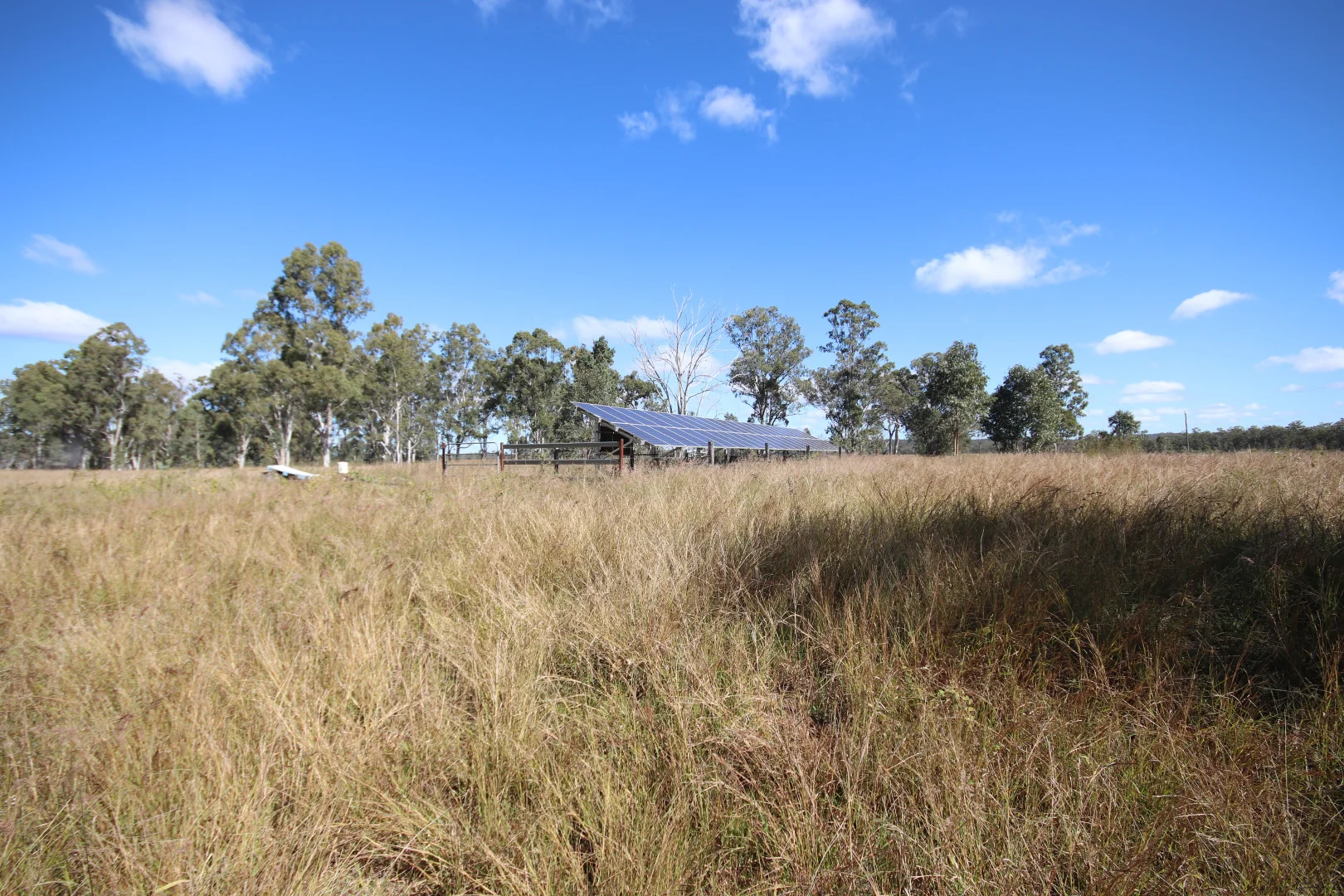 Image 15