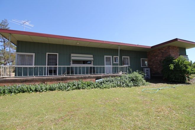 Picture of 8 Kookaburra Lane, INVERELL NSW 2360