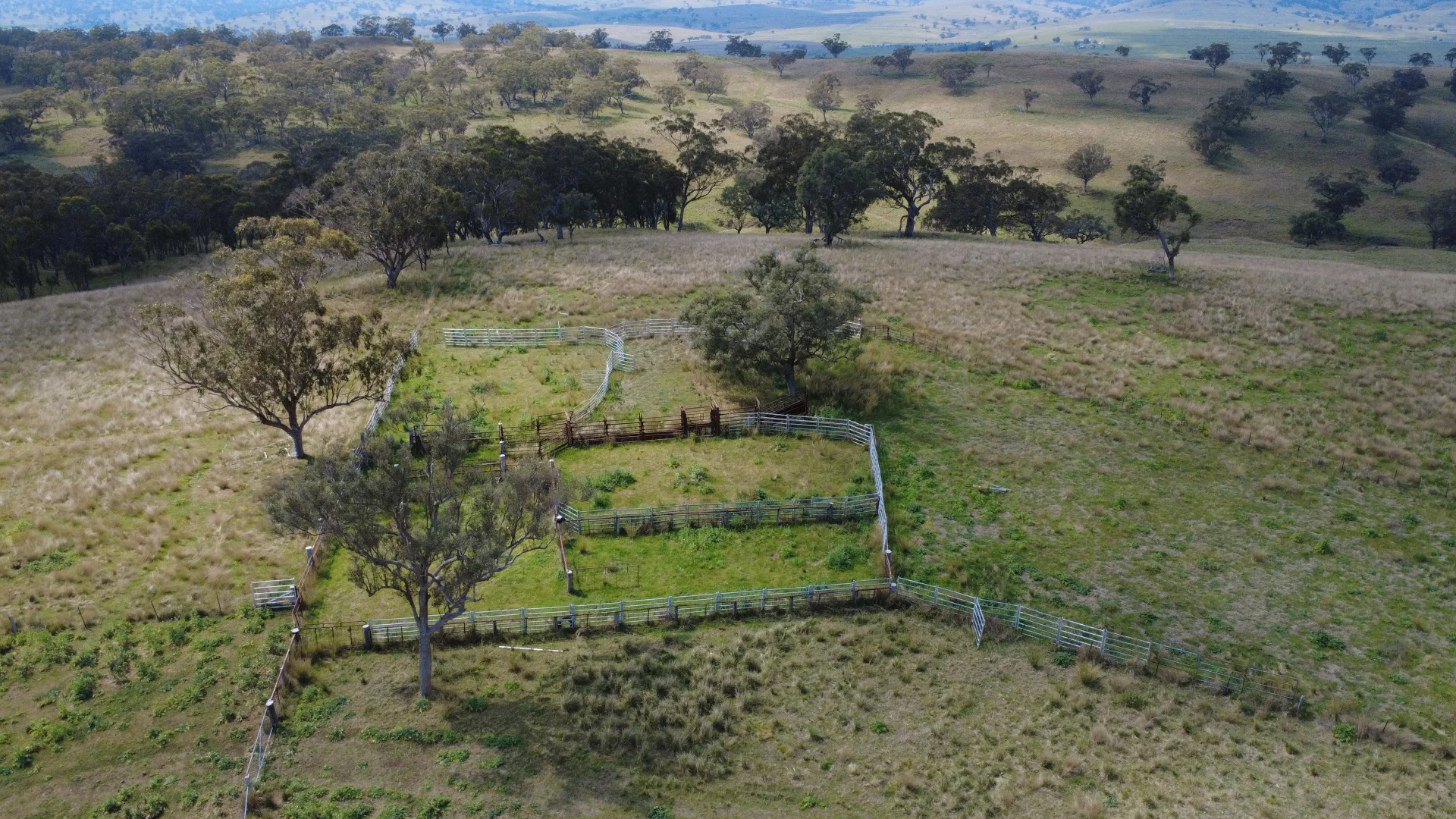 Additional image 12 of "Gummun" Coulsons Creek Road, Merriwa NSW 2329
