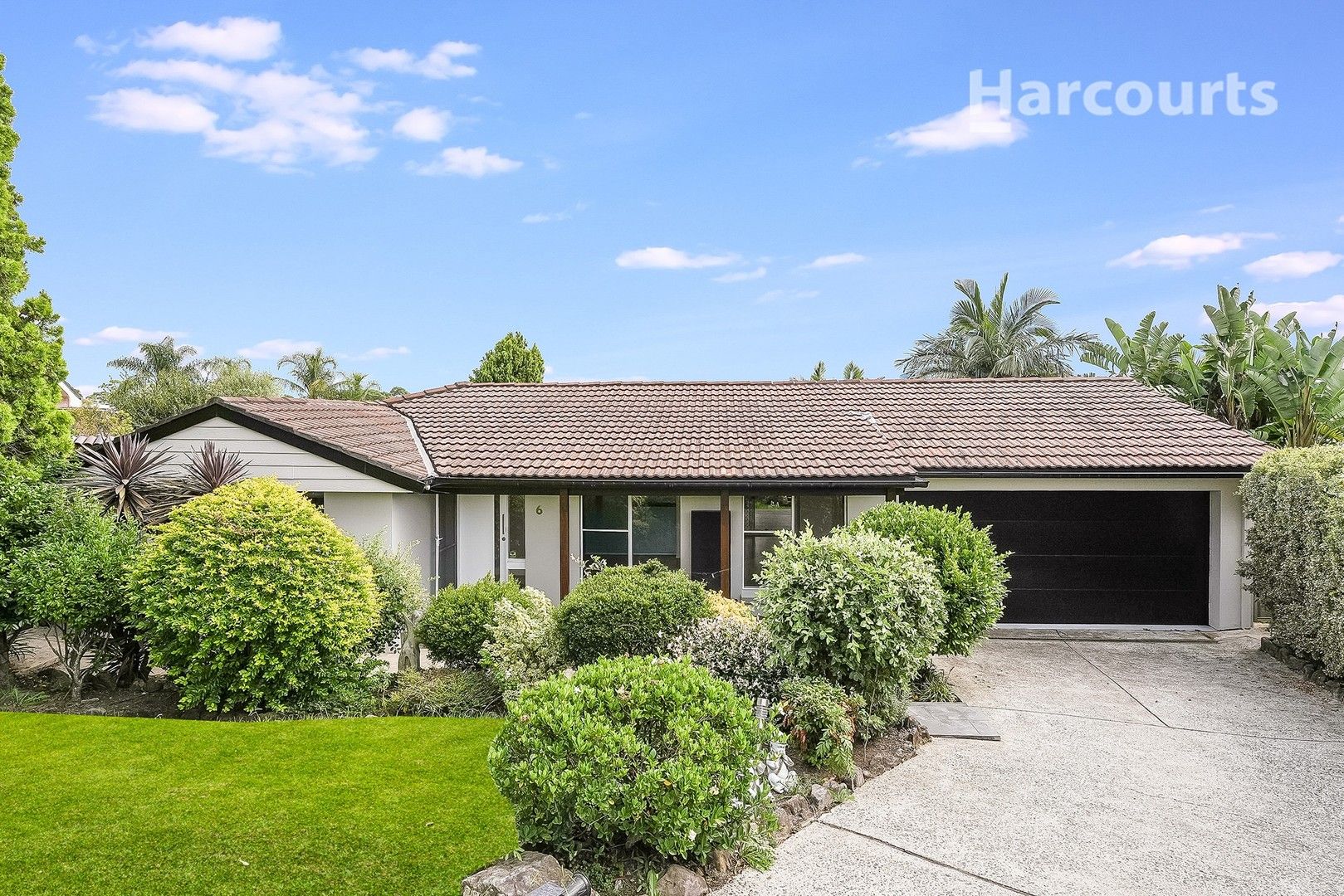 6 Wilkins Place, Leumeah NSW 2560, Image 0
