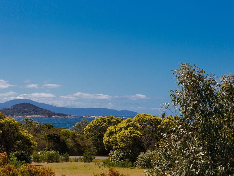 300 Harveys Farm Road, Bicheno TAS 7215, Image 1