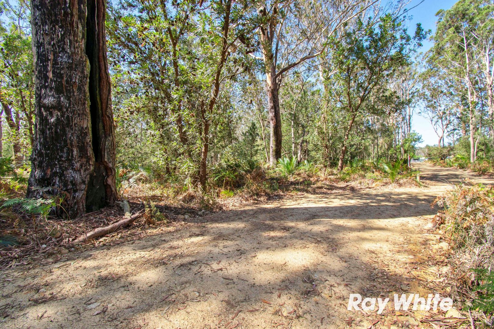 Lot 2 Donnelly Drive, Moruya NSW 2537, Image 1