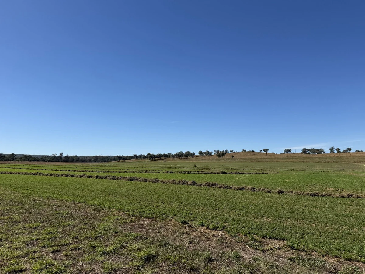 Image 10