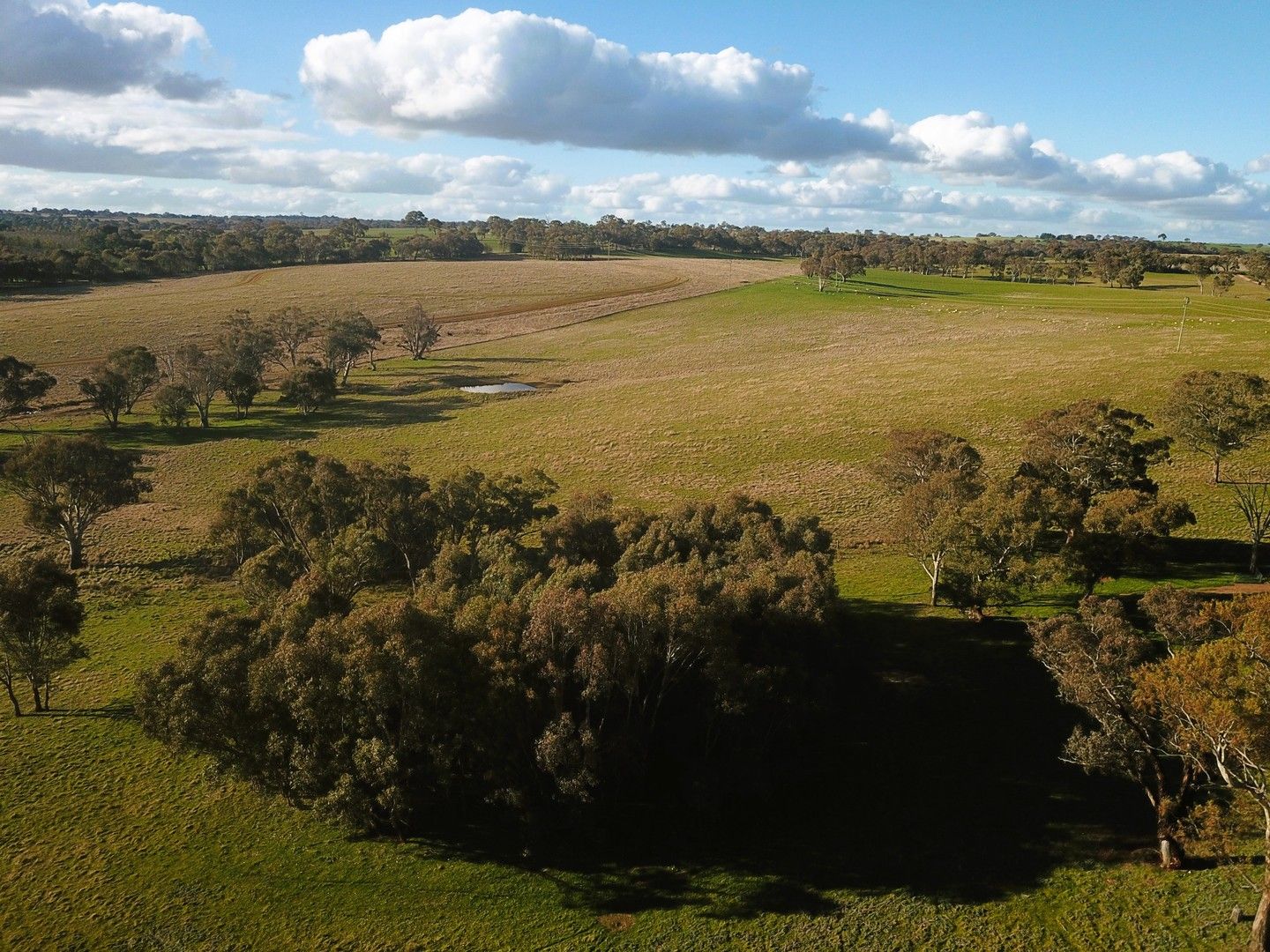 1478 Wombat Rd, Wombat via,, Young NSW 2594 Grazing Property for Sale