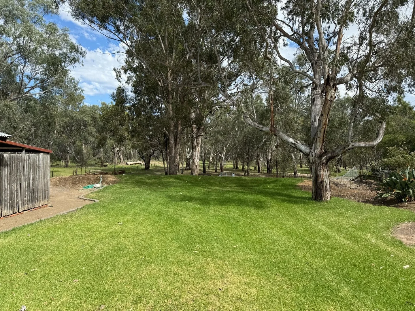 Additional image 8 of 38 Furphy Avenue, Kialla VIC 3631