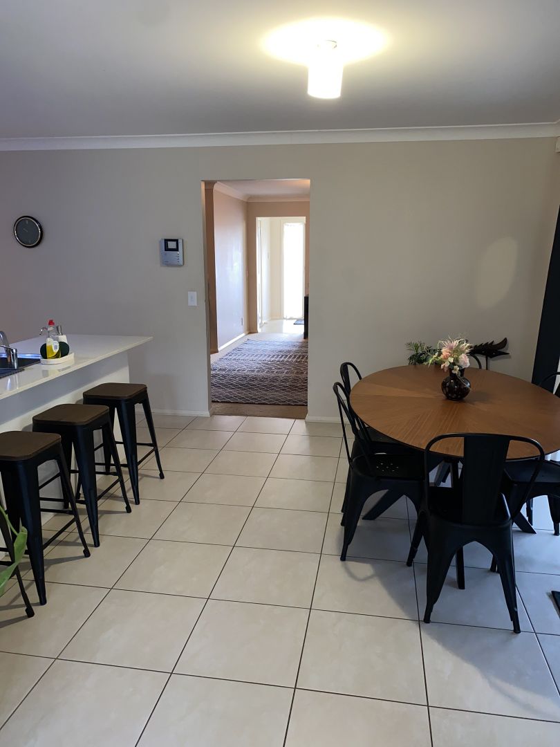 49 Horizon Street, Gillieston Heights NSW 2321 House For Rent Domain