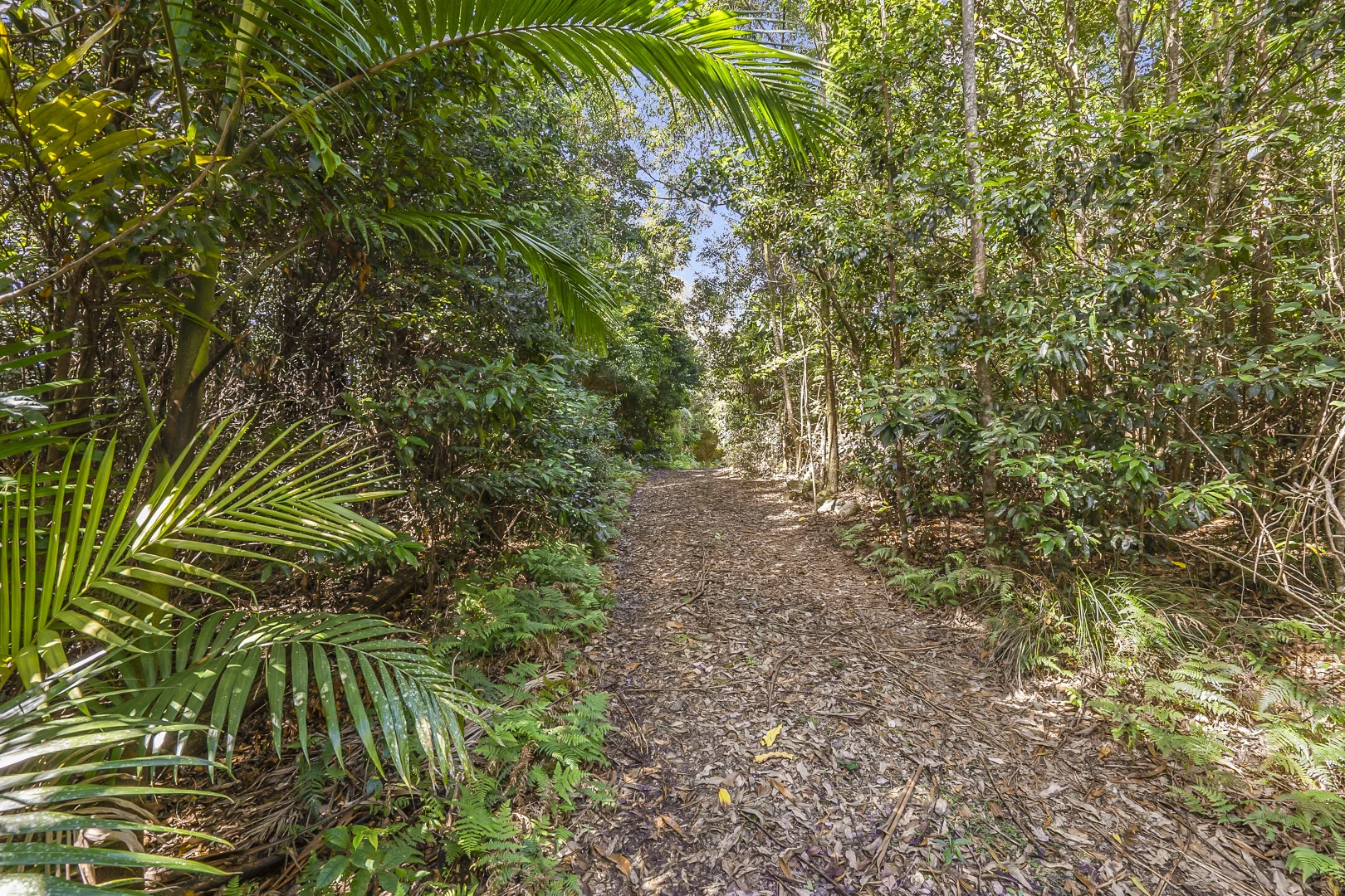 Additional image 5 of 385 Bellthorpe West Road, Bellthorpe QLD 4514