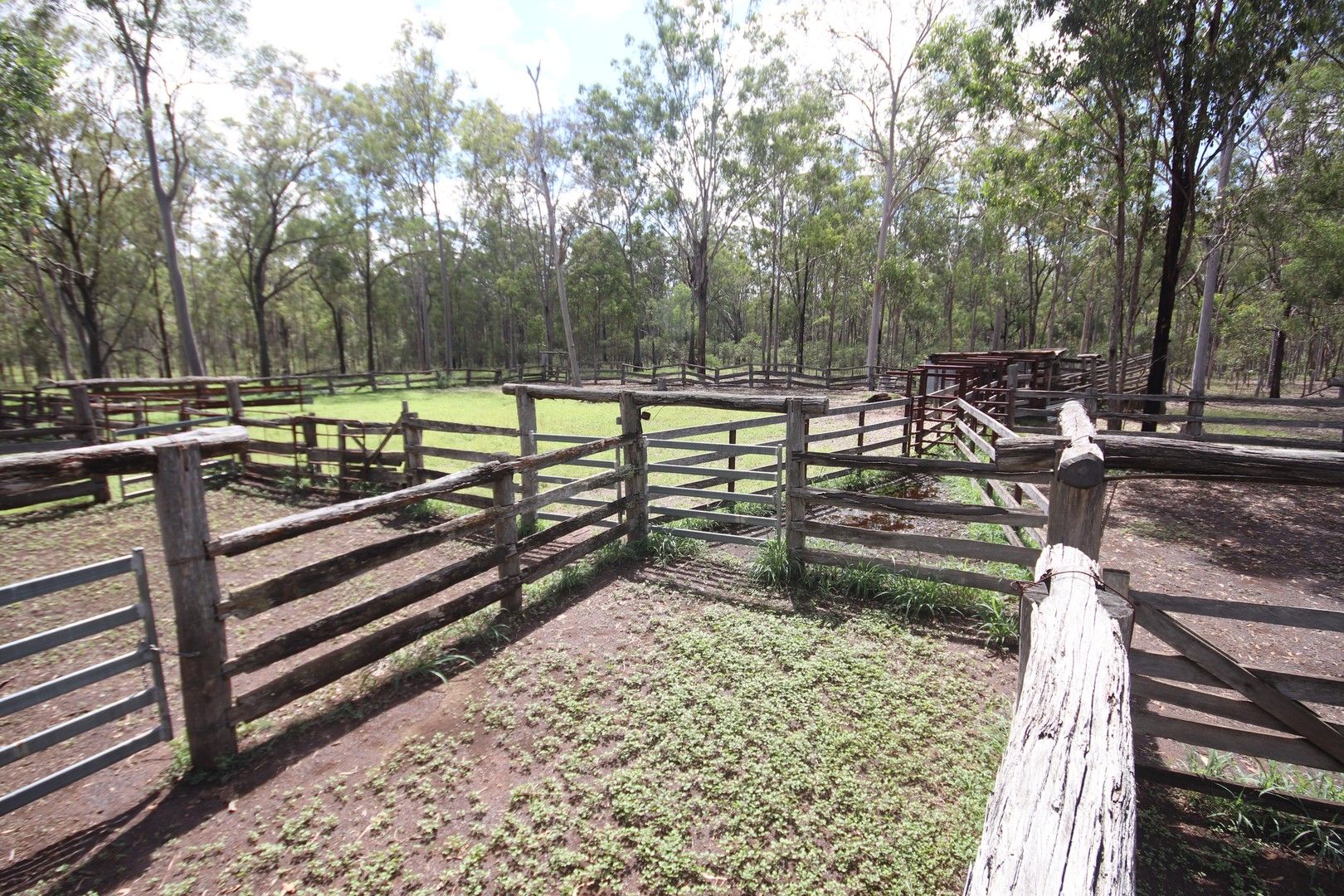 'Greentree' Mundubbera-Durong Rd, Mundubbera QLD 4626, Image 0