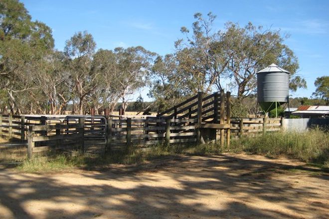 Picture of Peters Road, TYRENDARRA VIC 3285