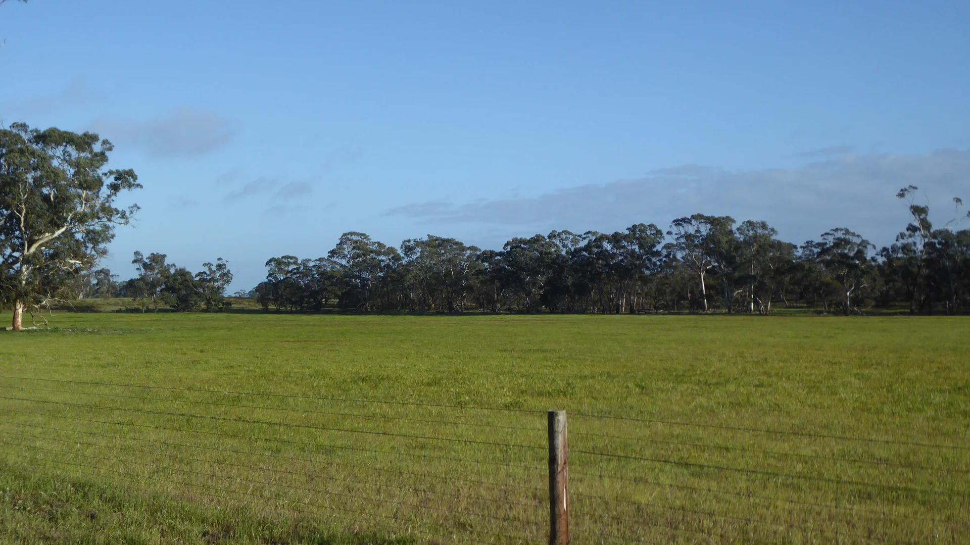 Image 13