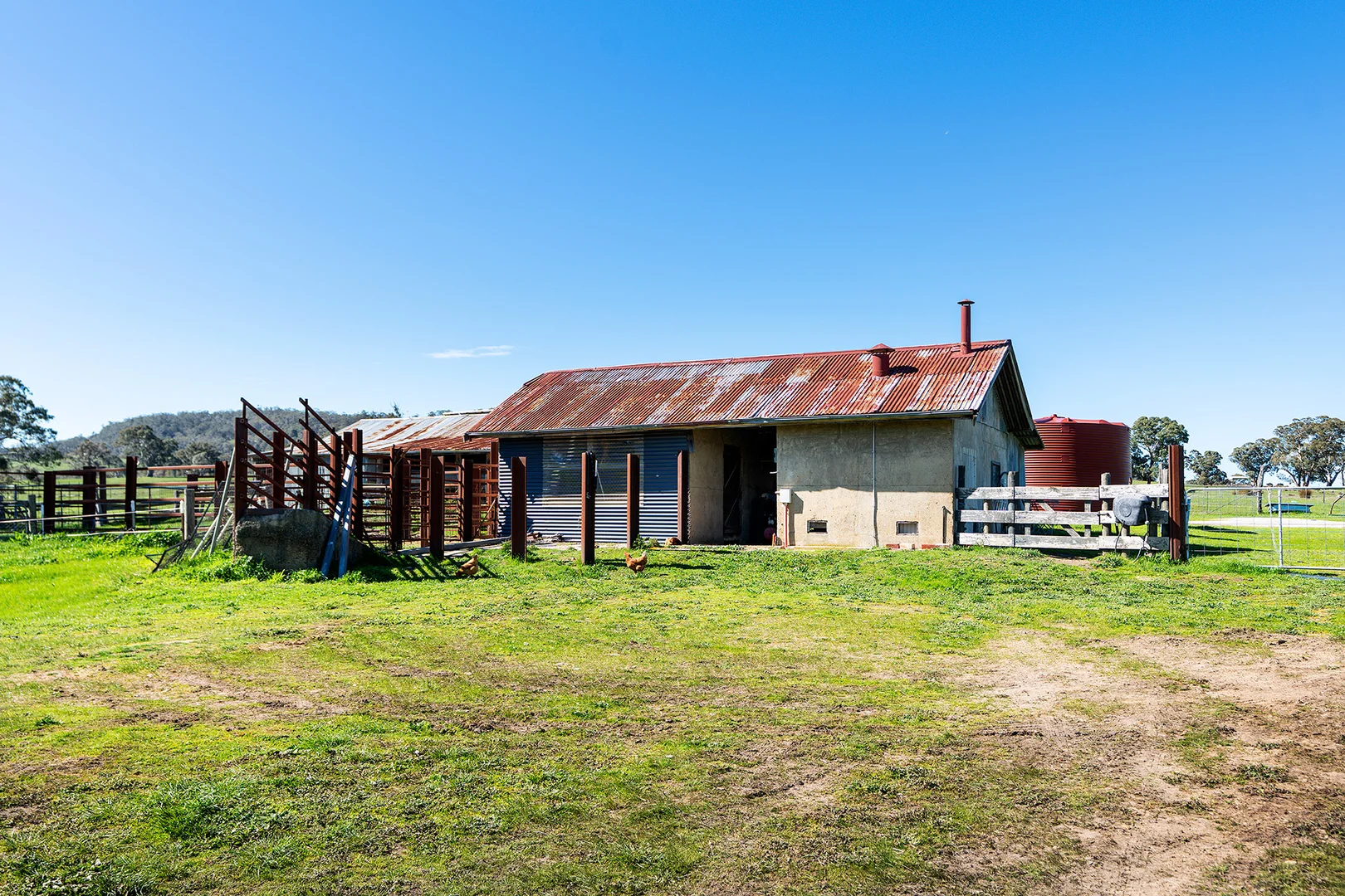 Image 12