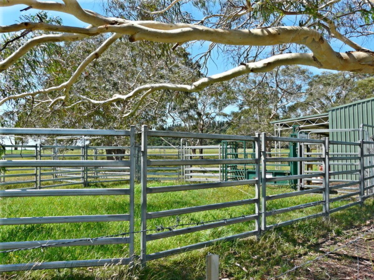 387 Cloonty Road, Carrington Falls NSW 2577, Image 2