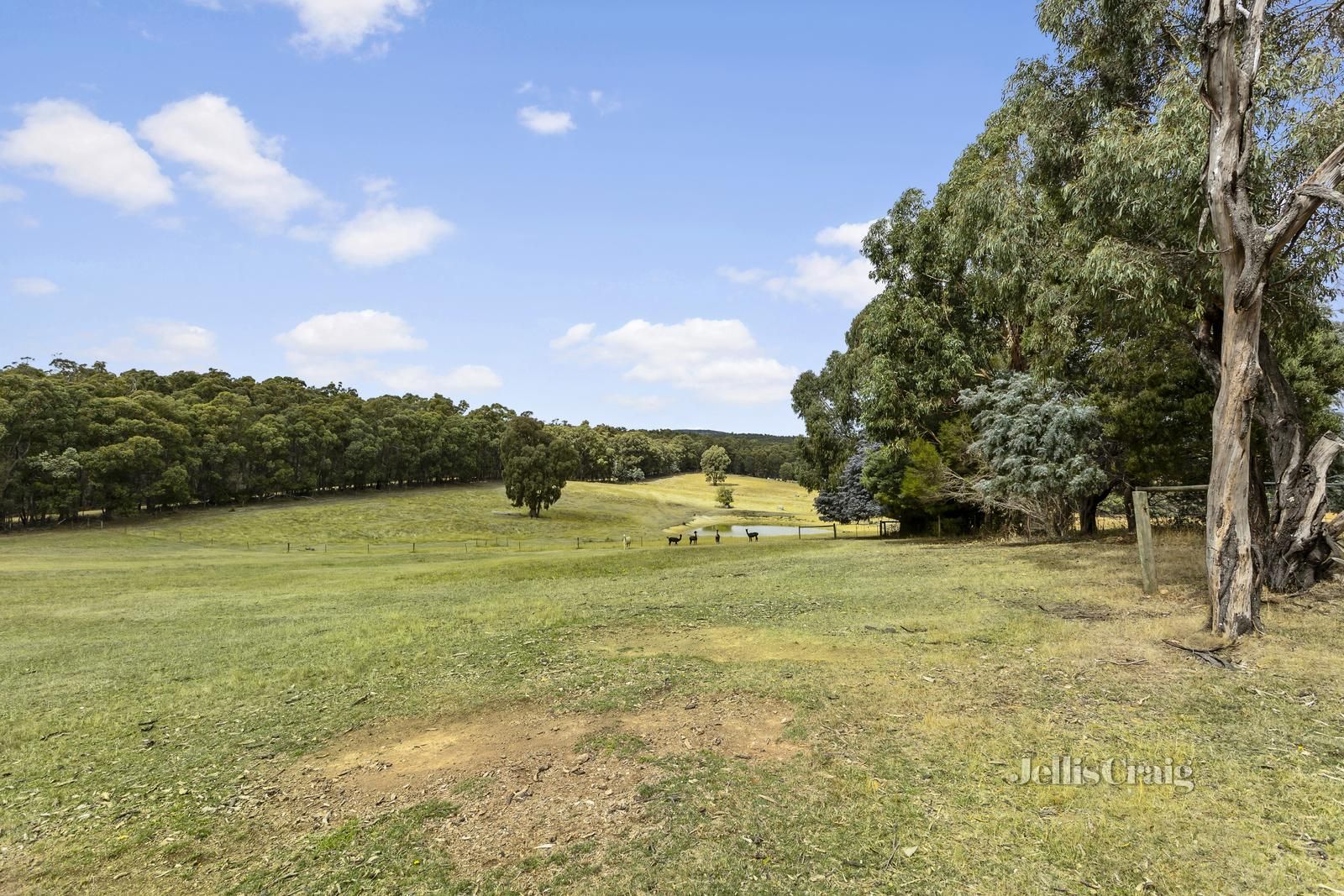 198 Sharpes Lane, Wheatsheaf VIC 3461, Image 0