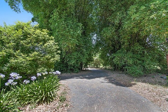 Picture of 26 Plumtree Pocket, UPPER BURRINGBAR NSW 2483