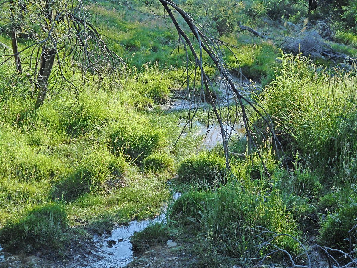 Rural Lifestyle in Lot A/1007 Yass River Road, YASS NSW, 2582