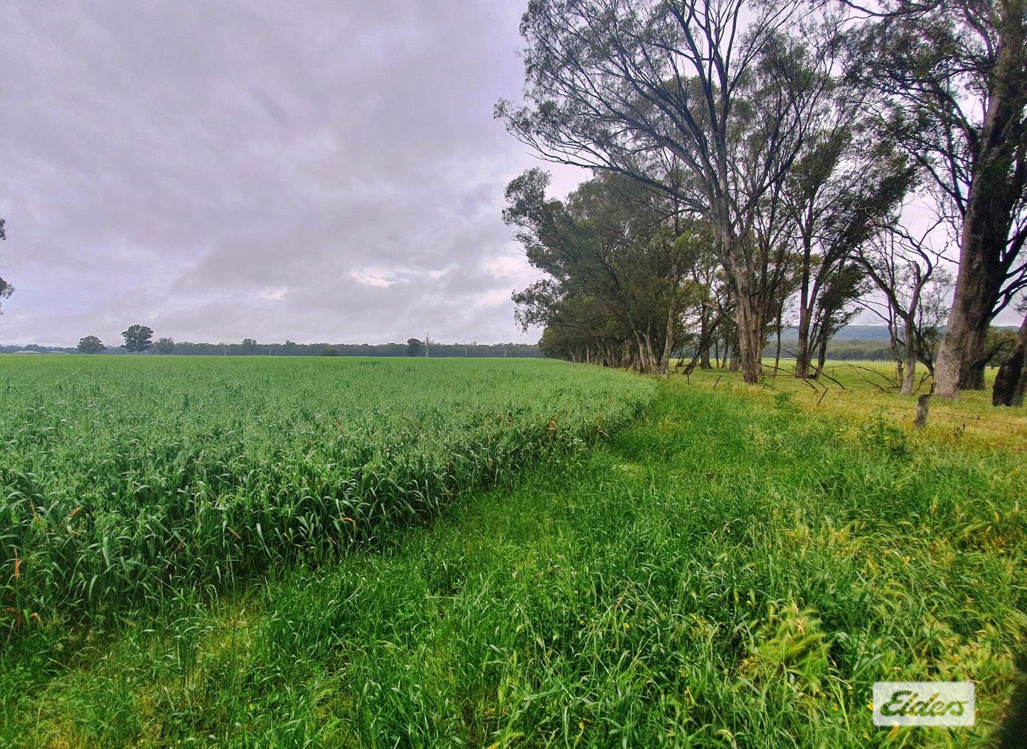 191 Fishers Road, Barnawartha VIC 3688, Image 2