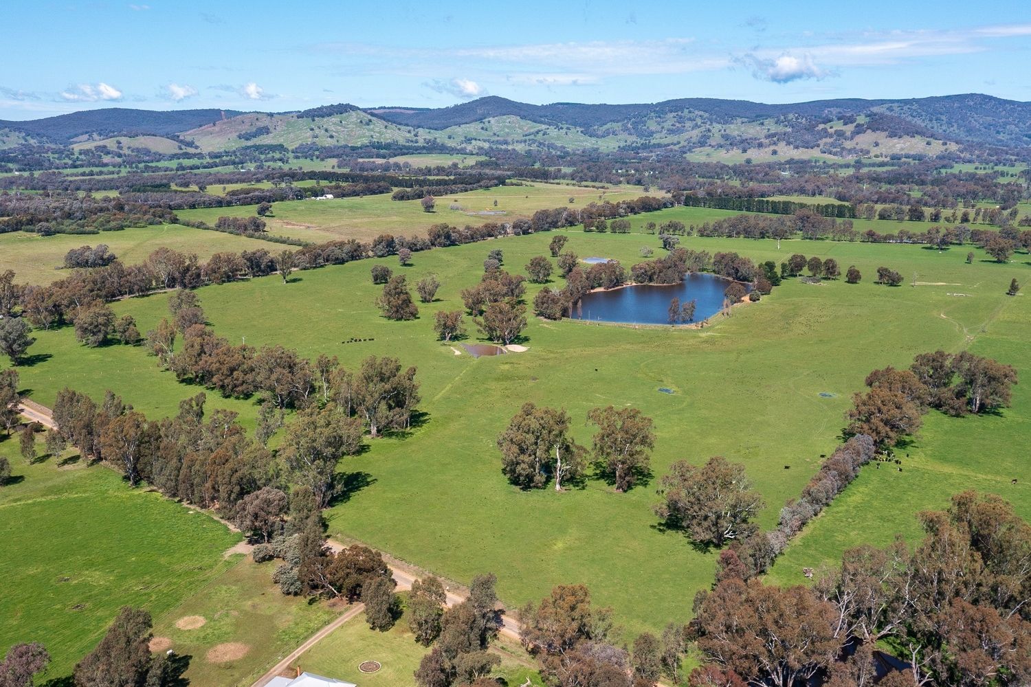 Creekside/654 BaddaginnieWarrenbayne Road, Warrenbayne VIC 3670