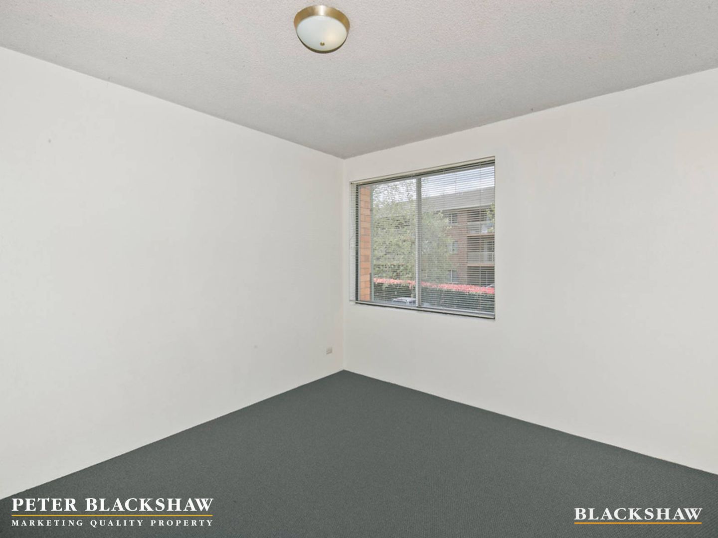 4/3 Waddell Place, Curtin ACT 2605, Image 2