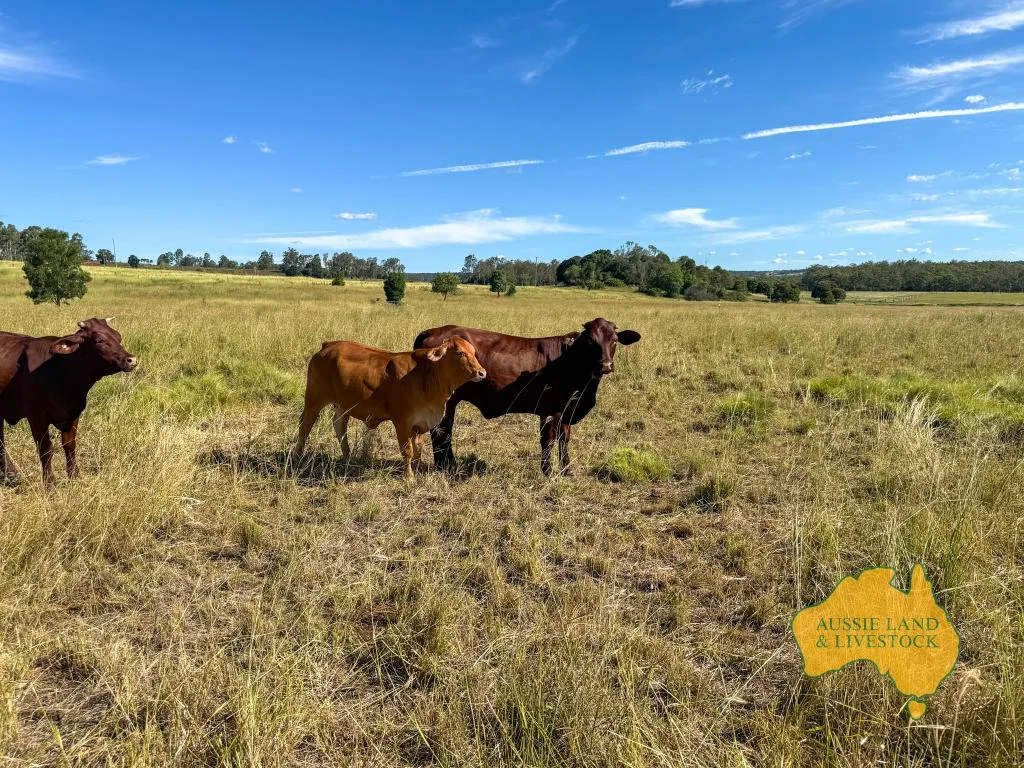 Additional image 71 of 268 Back Creek Road, Stalworth QLD 4613