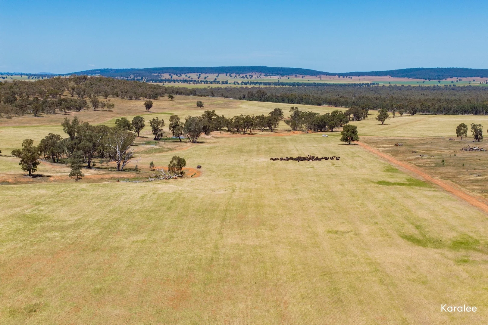 Additional image 6 of Kamarah Road, Narrandera NSW 2700