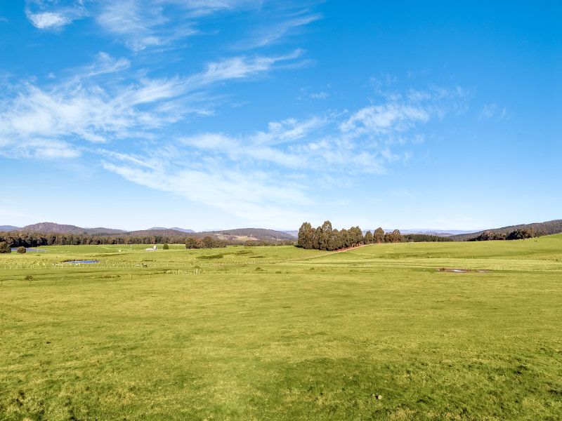 335 Coal Hill Road, Latrobe TAS 7307, Image 0