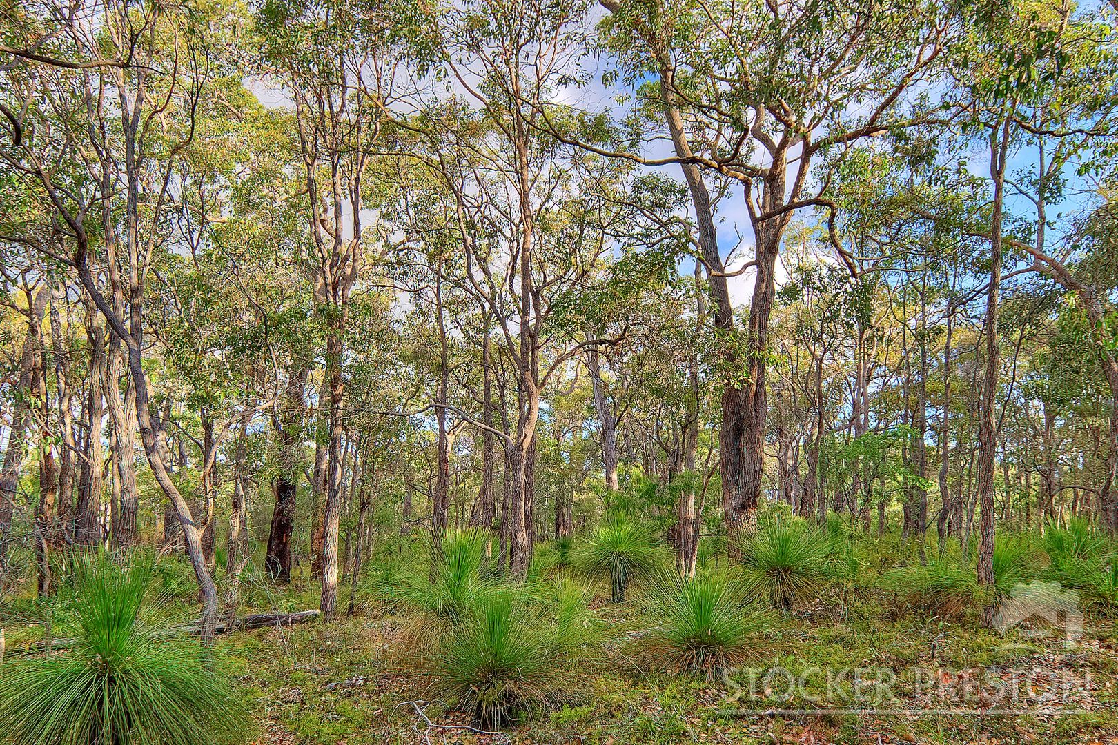 Lot 27 Shallows Loop, Yallingup WA 6282, Image 2